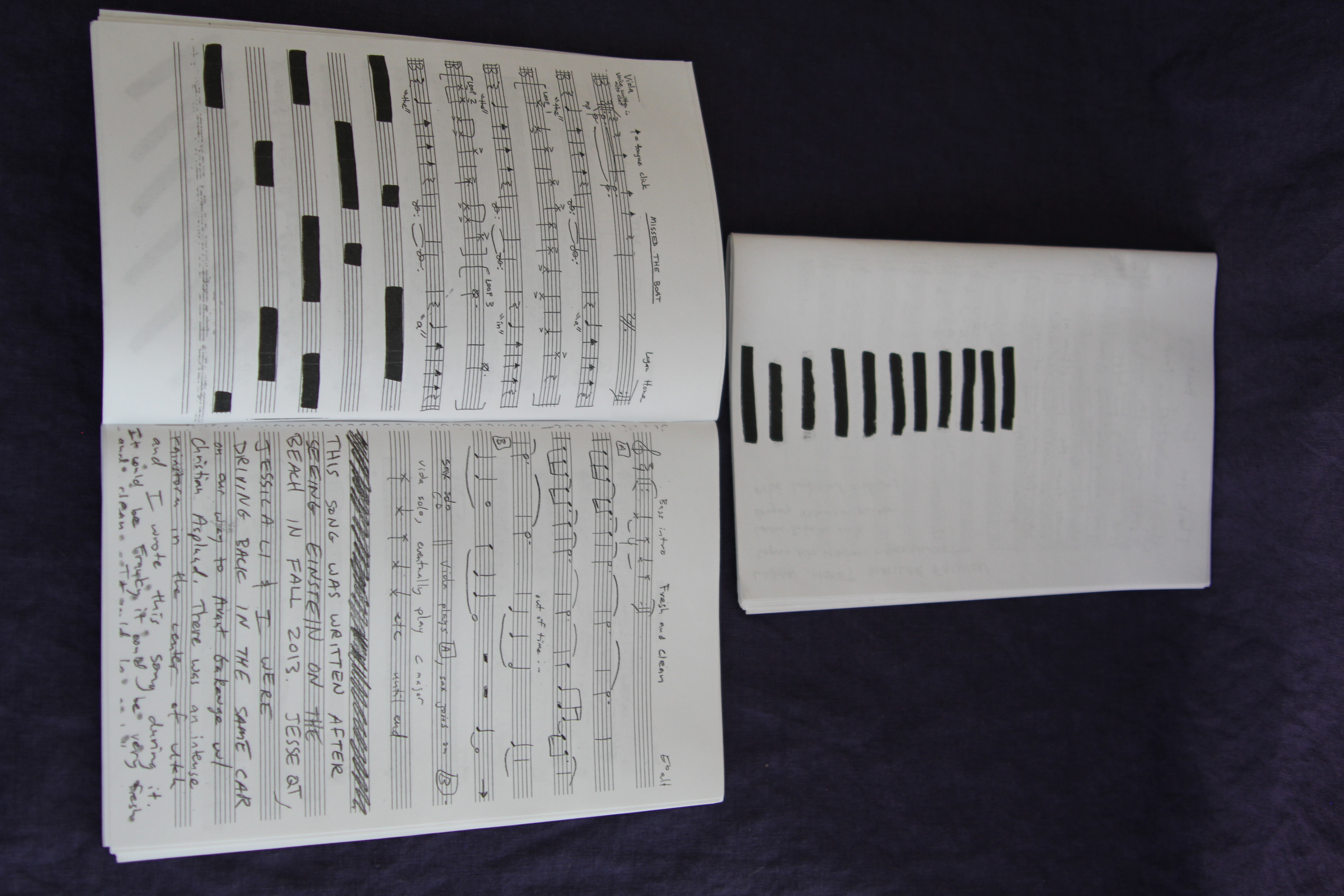 Logan Hone's Similar Fashion booklet