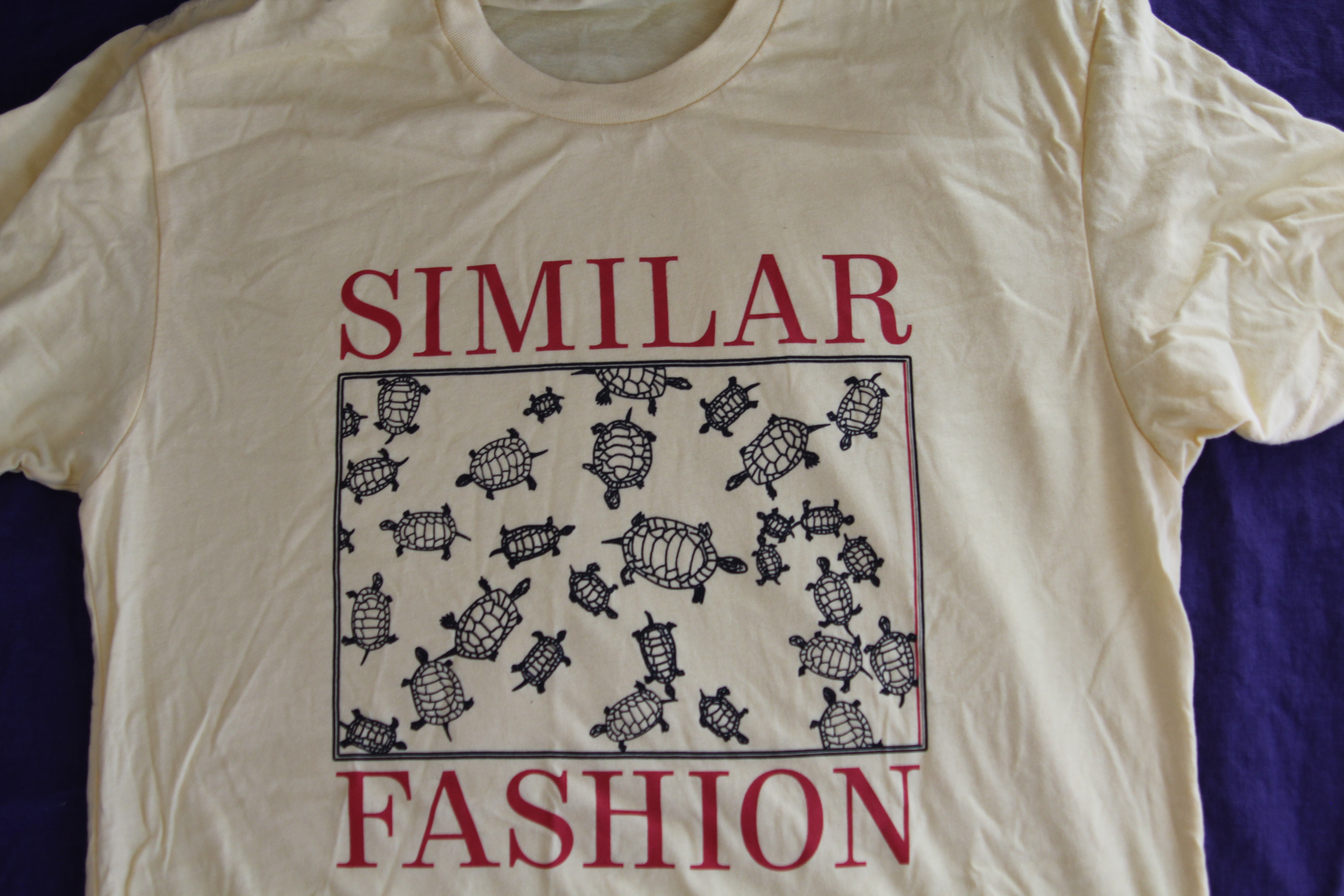 Similar Fashion T-shirt